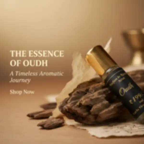 undefined__undefined