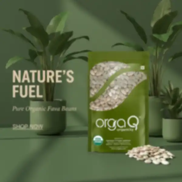 undefined__undefined