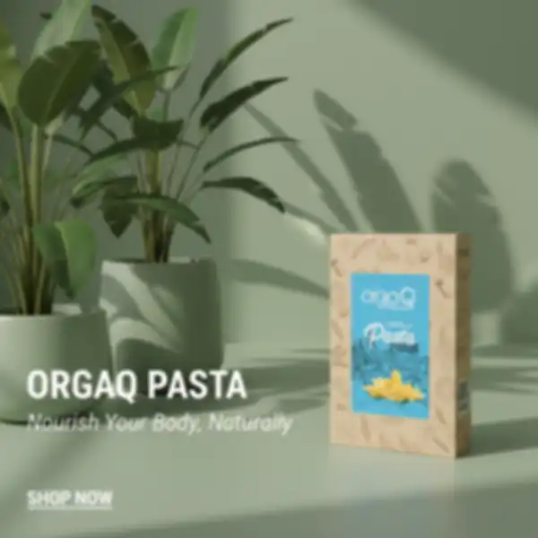 undefined__undefined