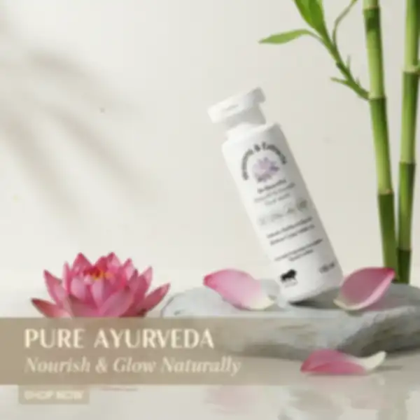 undefined__undefined