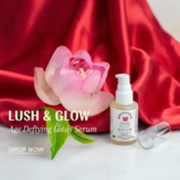 undefined__undefined