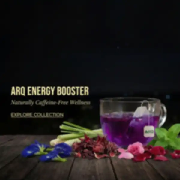 undefined__undefined