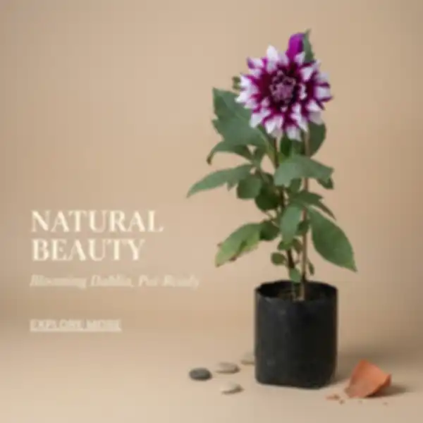 undefined__undefined