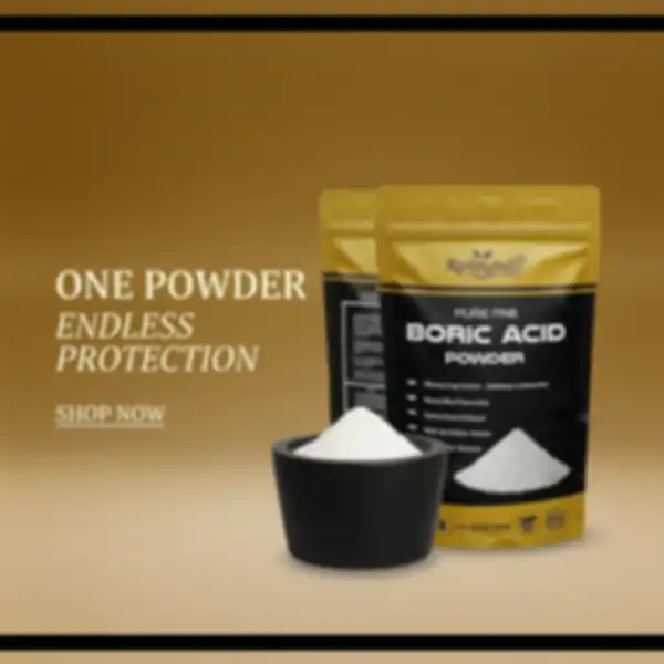 undefined__undefined