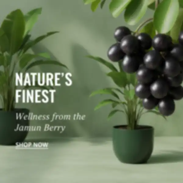 undefined__undefined