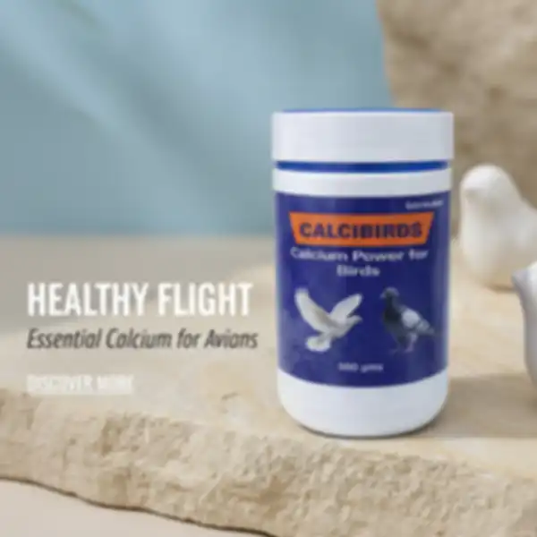 undefined__undefined