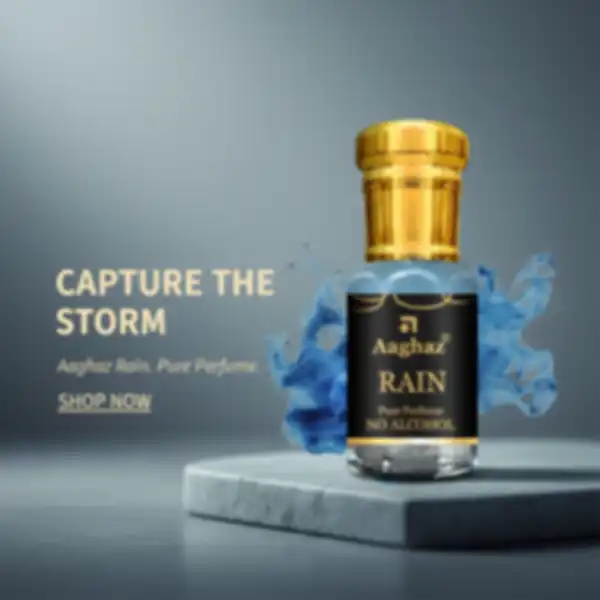 undefined__undefined