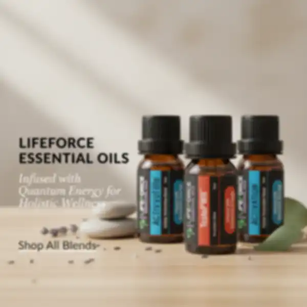 undefined__undefined