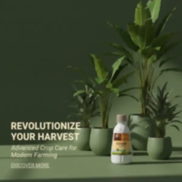 undefined__undefined