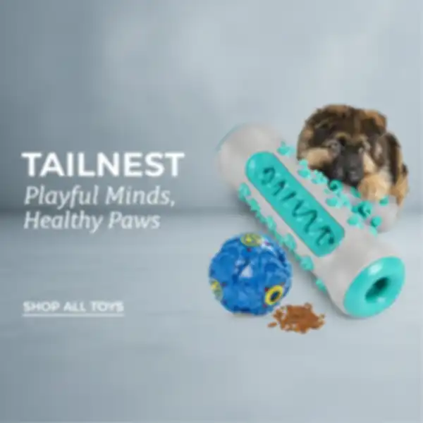 undefined__undefined