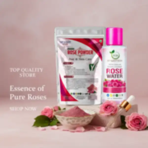 undefined__undefined