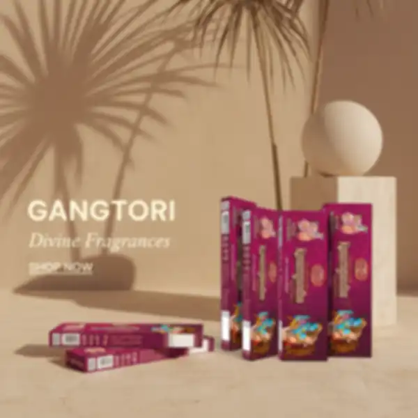 BANNER_undefined__undefined
