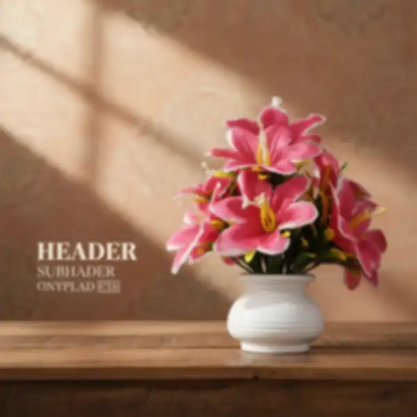 BANNER_undefined__undefined