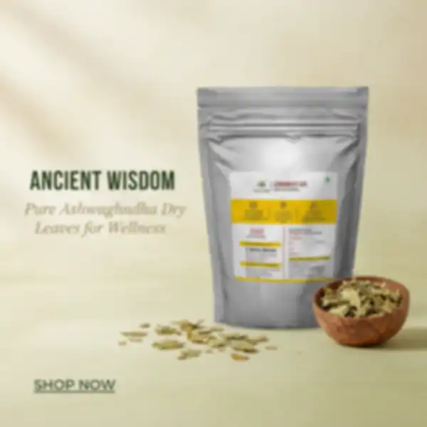 undefined__undefined