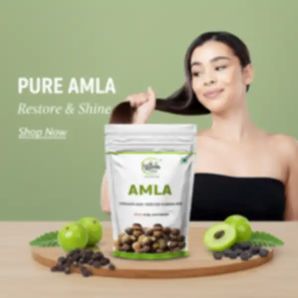 undefined__undefined