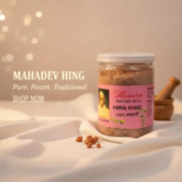 undefined__undefined