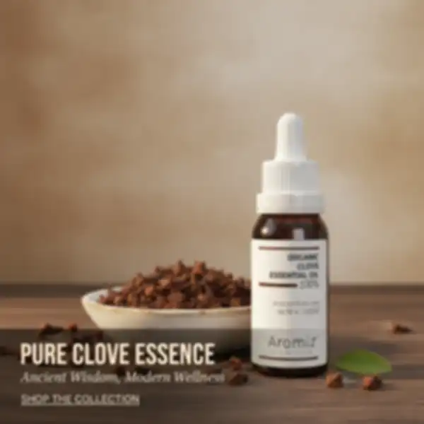 undefined__undefined