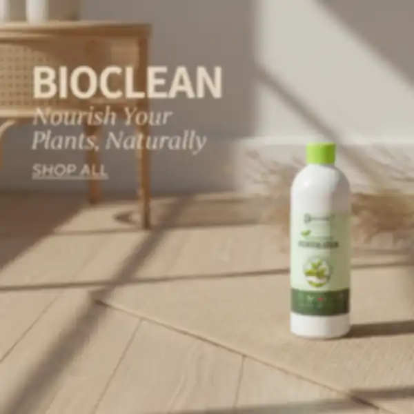 undefined__undefined