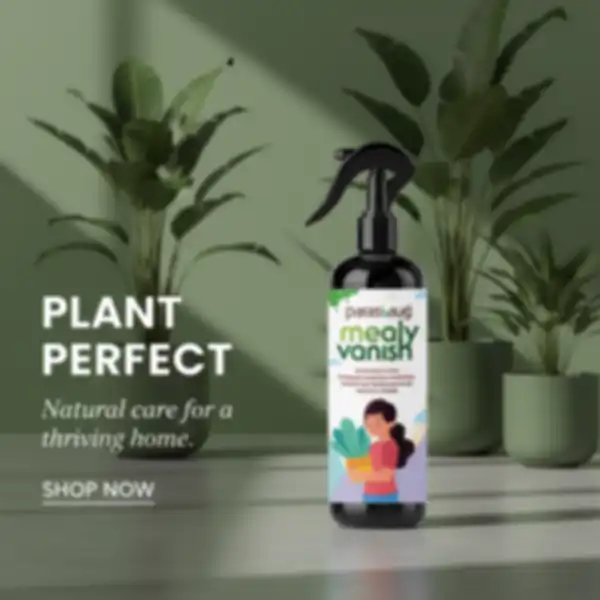 undefined__undefined