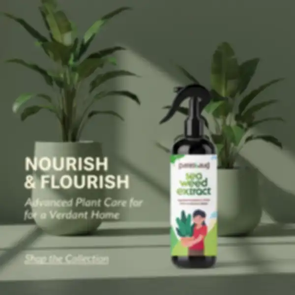 undefined__undefined