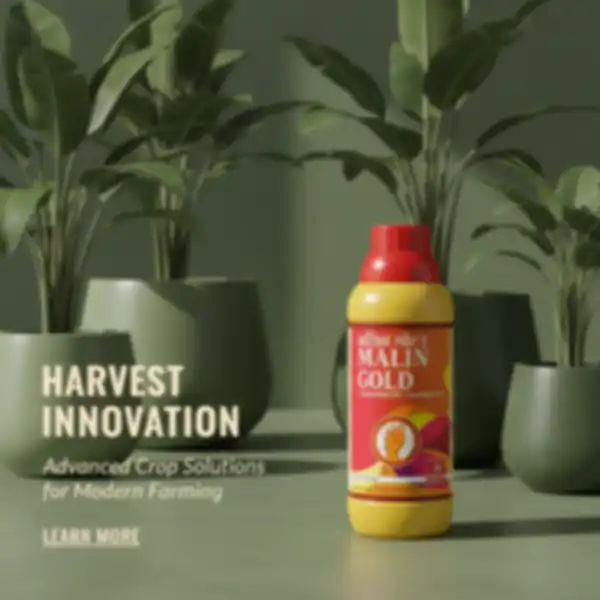 undefined__undefined