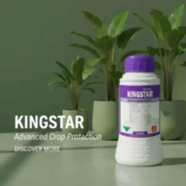 undefined__undefined