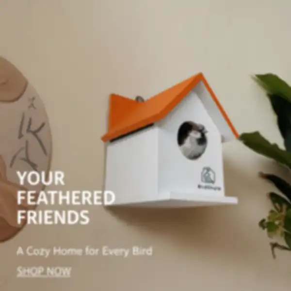 undefined__undefined