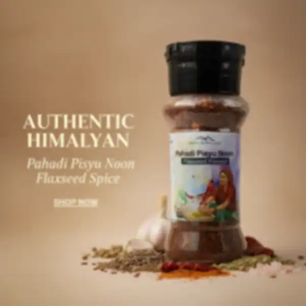 undefined__undefined