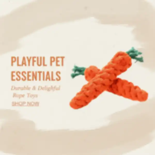 undefined__undefined