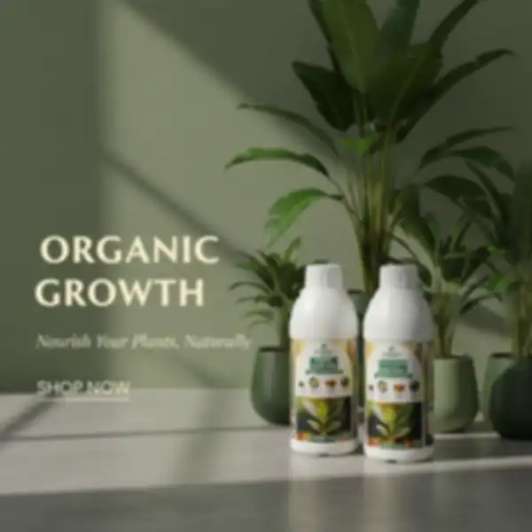 undefined__undefined