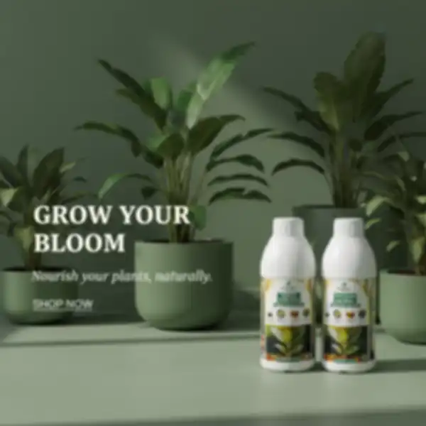 undefined__undefined