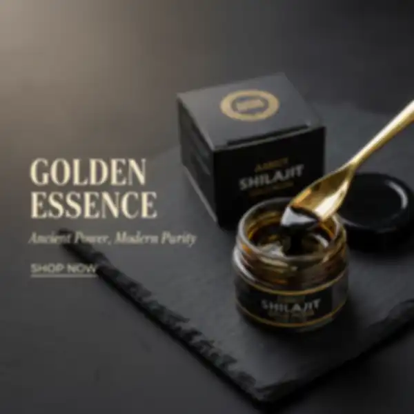 undefined__undefined