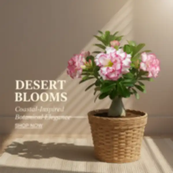 undefined__undefined