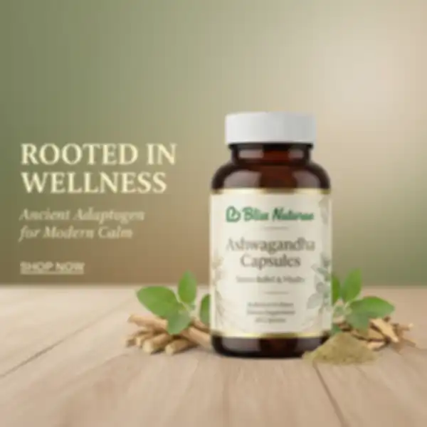 undefined__undefined