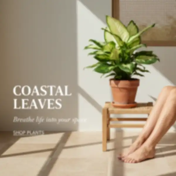 undefined__undefined