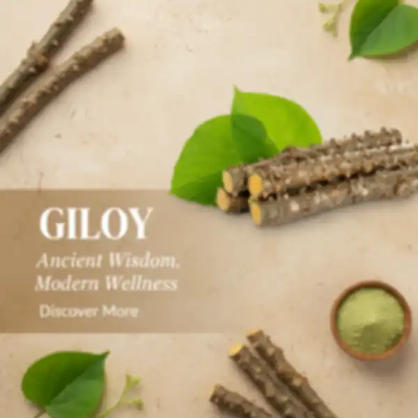 undefined__undefined