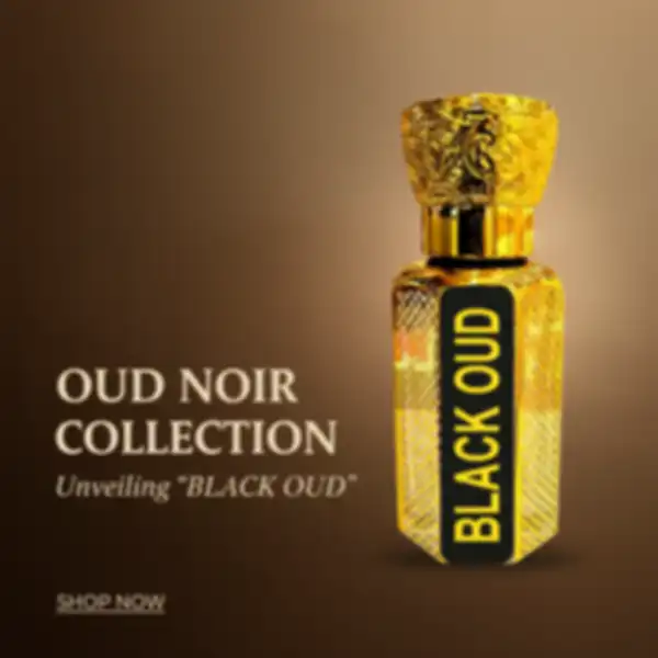 undefined__undefined