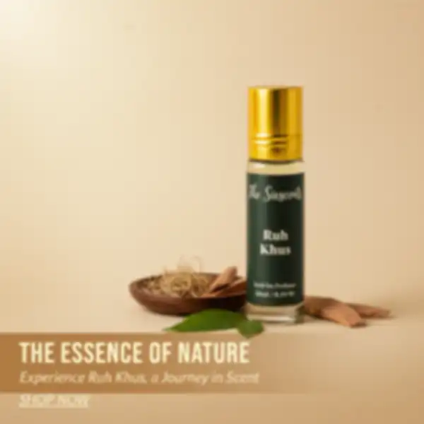 undefined__undefined