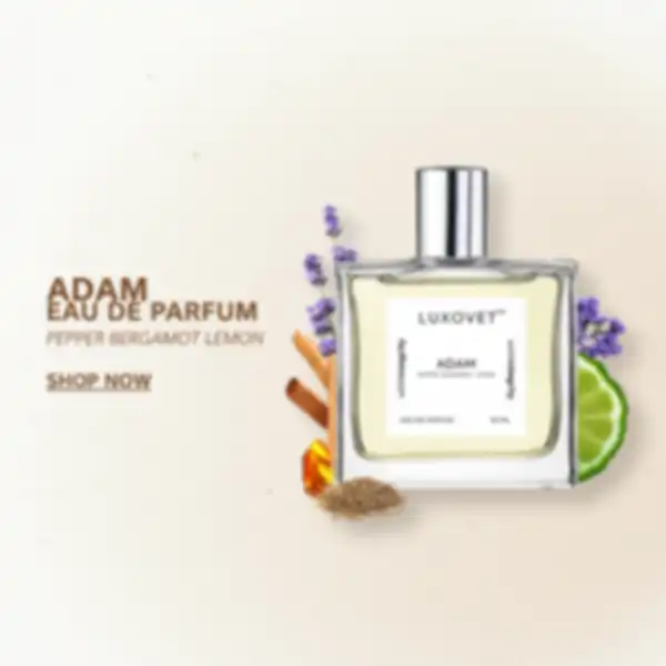 undefined__undefined