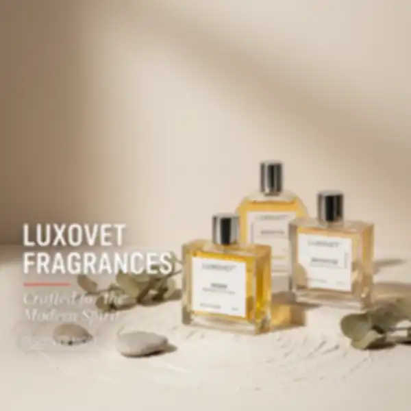 undefined__undefined