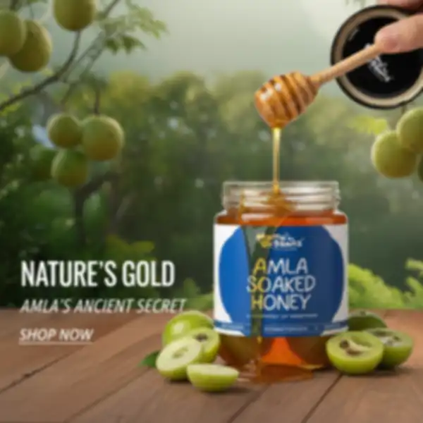 undefined__undefined