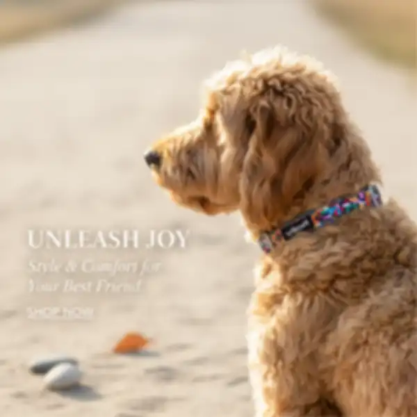 undefined__undefined