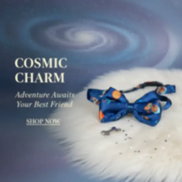 undefined__undefined