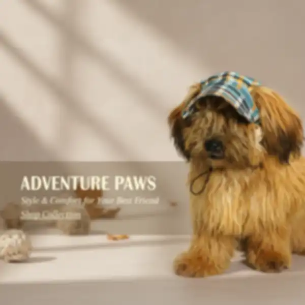 undefined__undefined