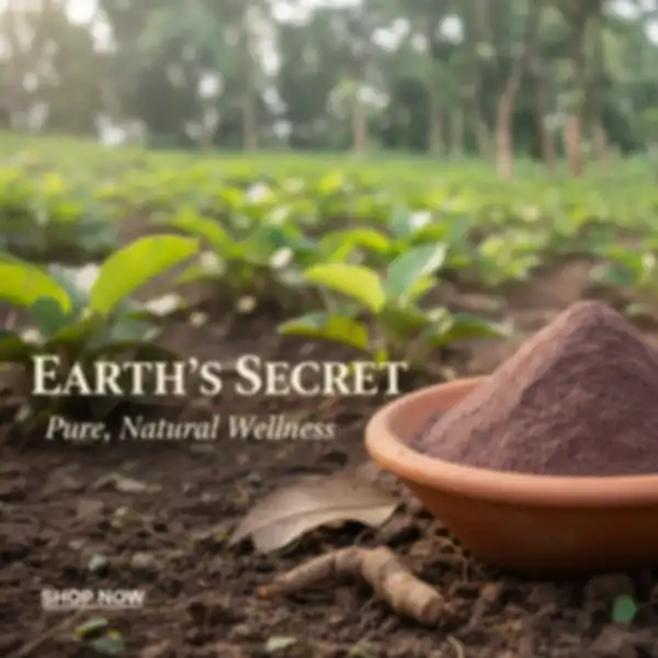 undefined__undefined