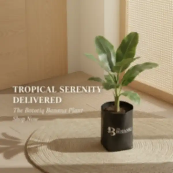 undefined__undefined