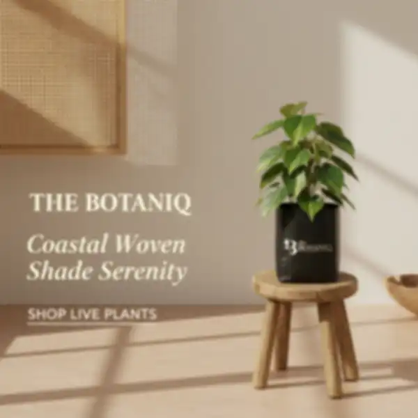 undefined__undefined