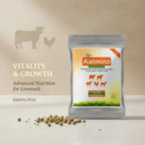 undefined__undefined