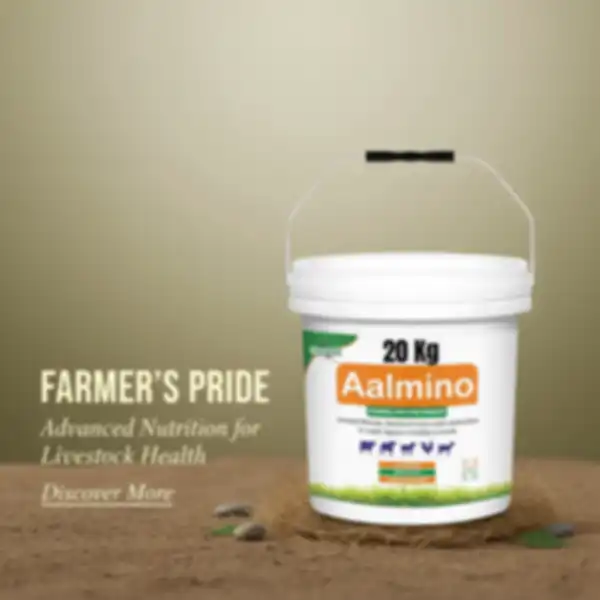 undefined__undefined