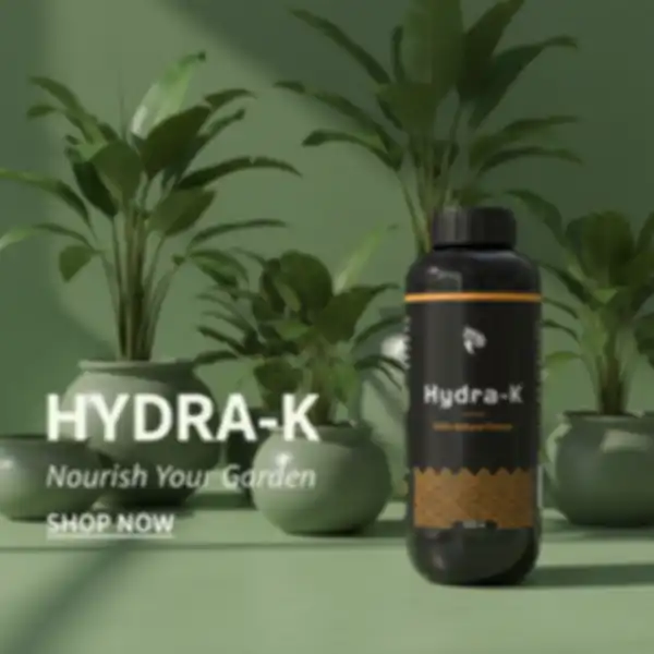 undefined__undefined